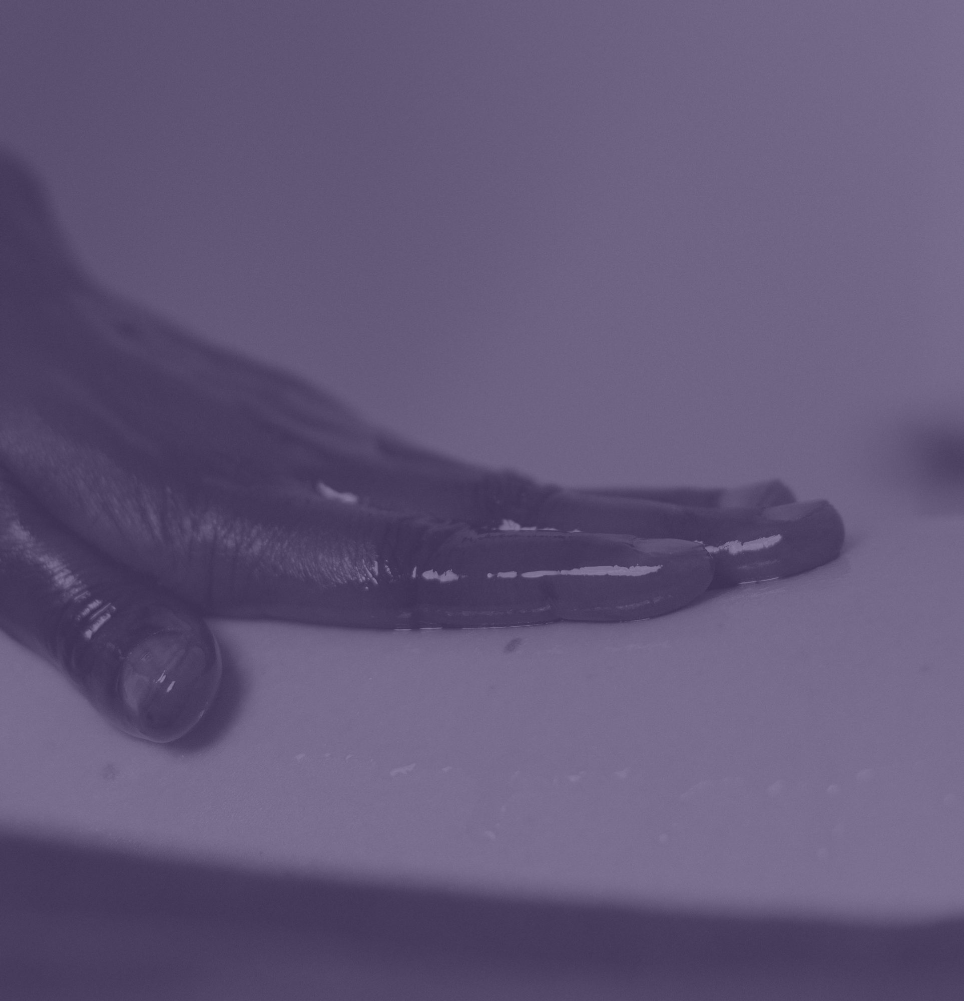 Main posée à plat sur le corps, sous un voile mauve